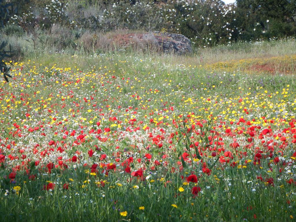 Casa Rural Duas Aguas Arribes Bemposta  Εξωτερικό φωτογραφία