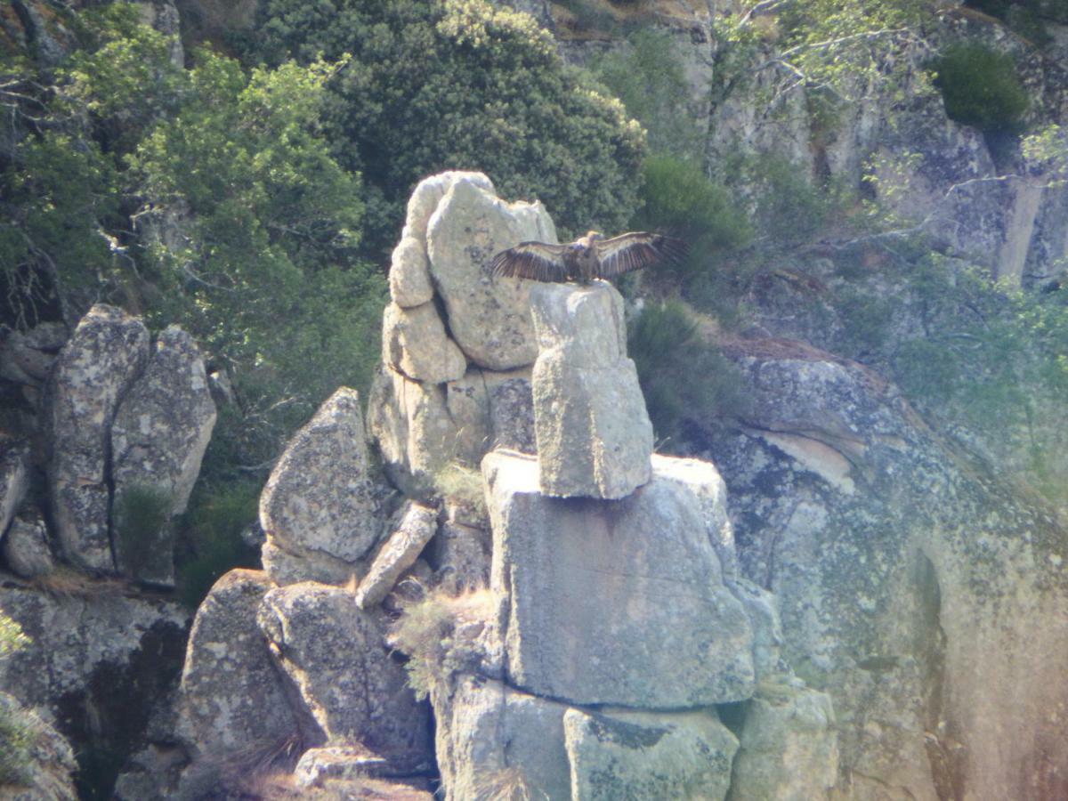 Casa Rural Duas Aguas Arribes Bemposta  Εξωτερικό φωτογραφία